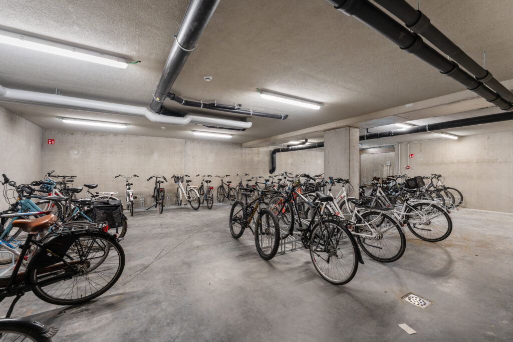 The-Wing-79-1024x683