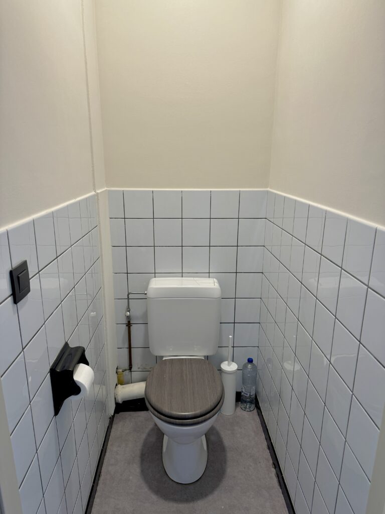 toilet (1)